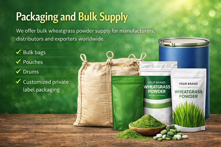 Bulk wheatgrass powder supply